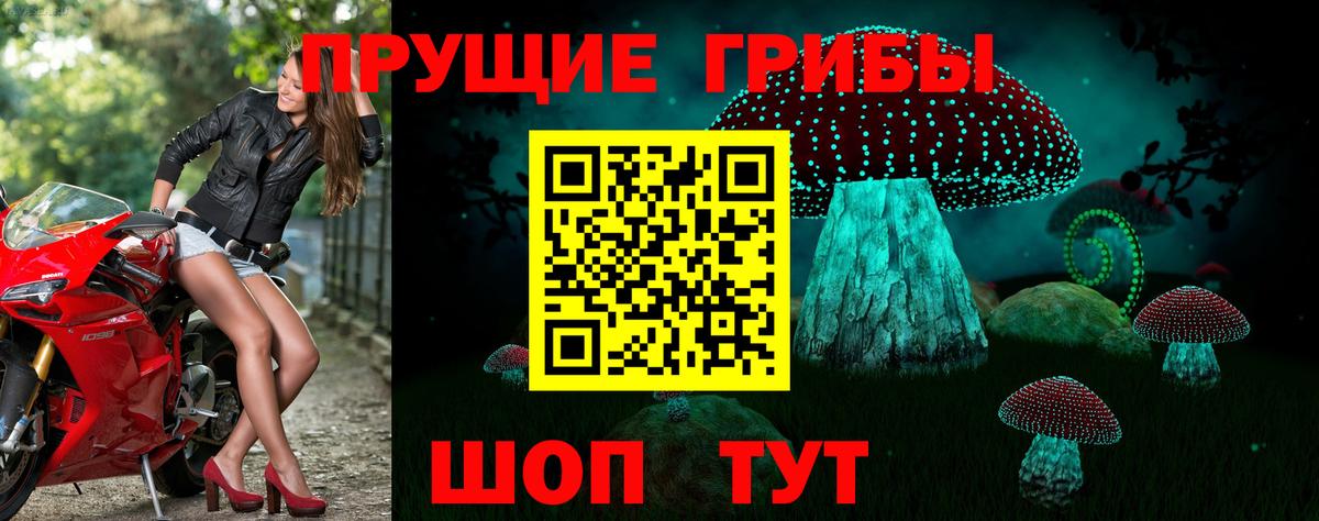 Ейск  Галлюциногенные грибы Psilocybine cubensis  Вход с VPN 